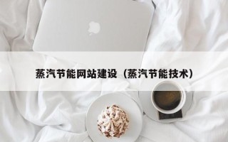 单县蒸汽节能网站建设（蒸汽节能技术）